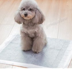 Pet diapers – view 4
