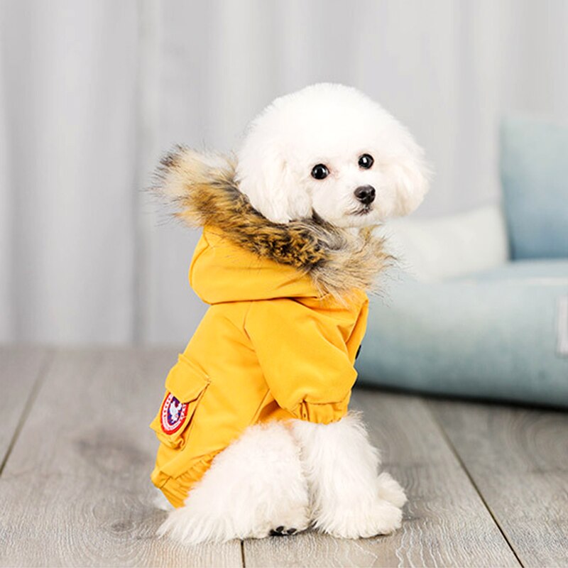 Pet dog clothes wool hat clothes cotton clothes – Yellow / M