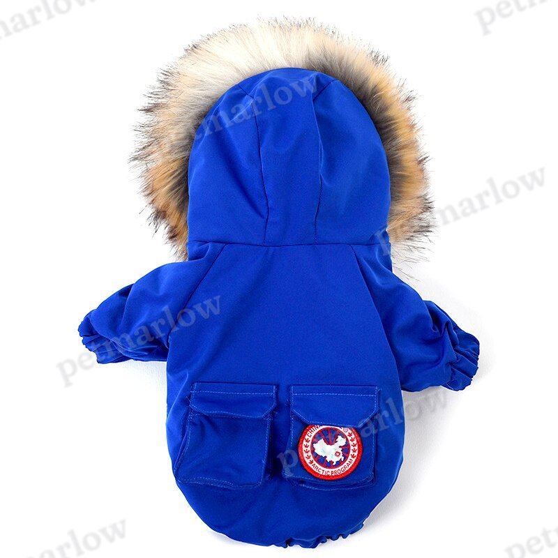Pet dog clothes wool hat clothes cotton clothes – view 4