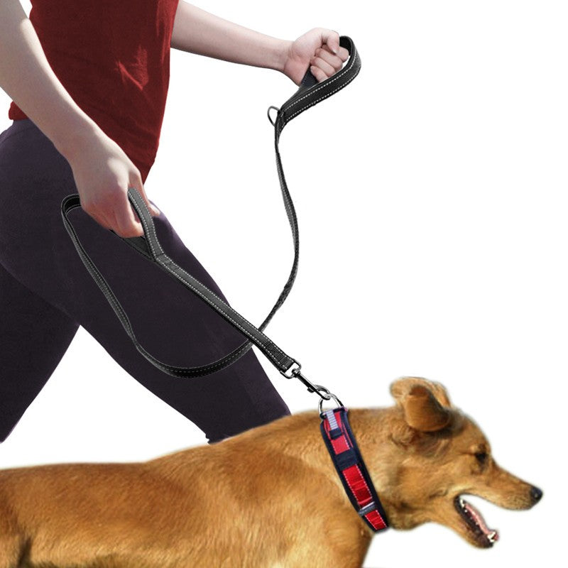 Pet Double Handle Pull Leash for Dogs and Cats