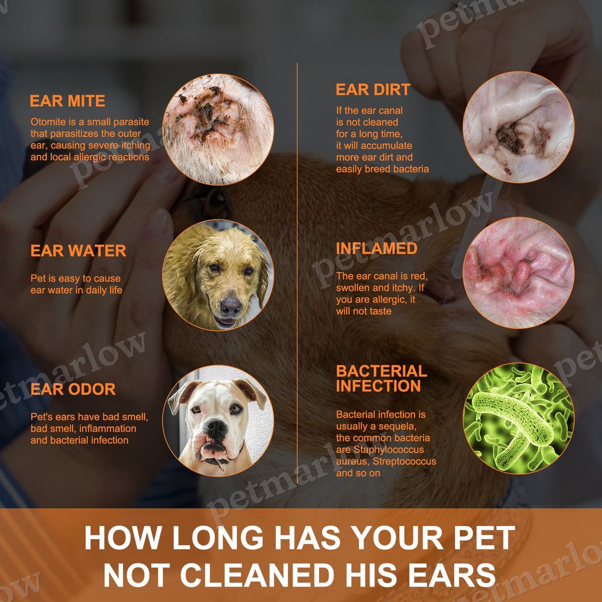 Pet Ear Cleaner Drops – view 5