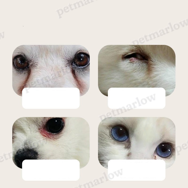 Pet Eye Cleaning Wipes – For a Clean and Bright Look – view 3
