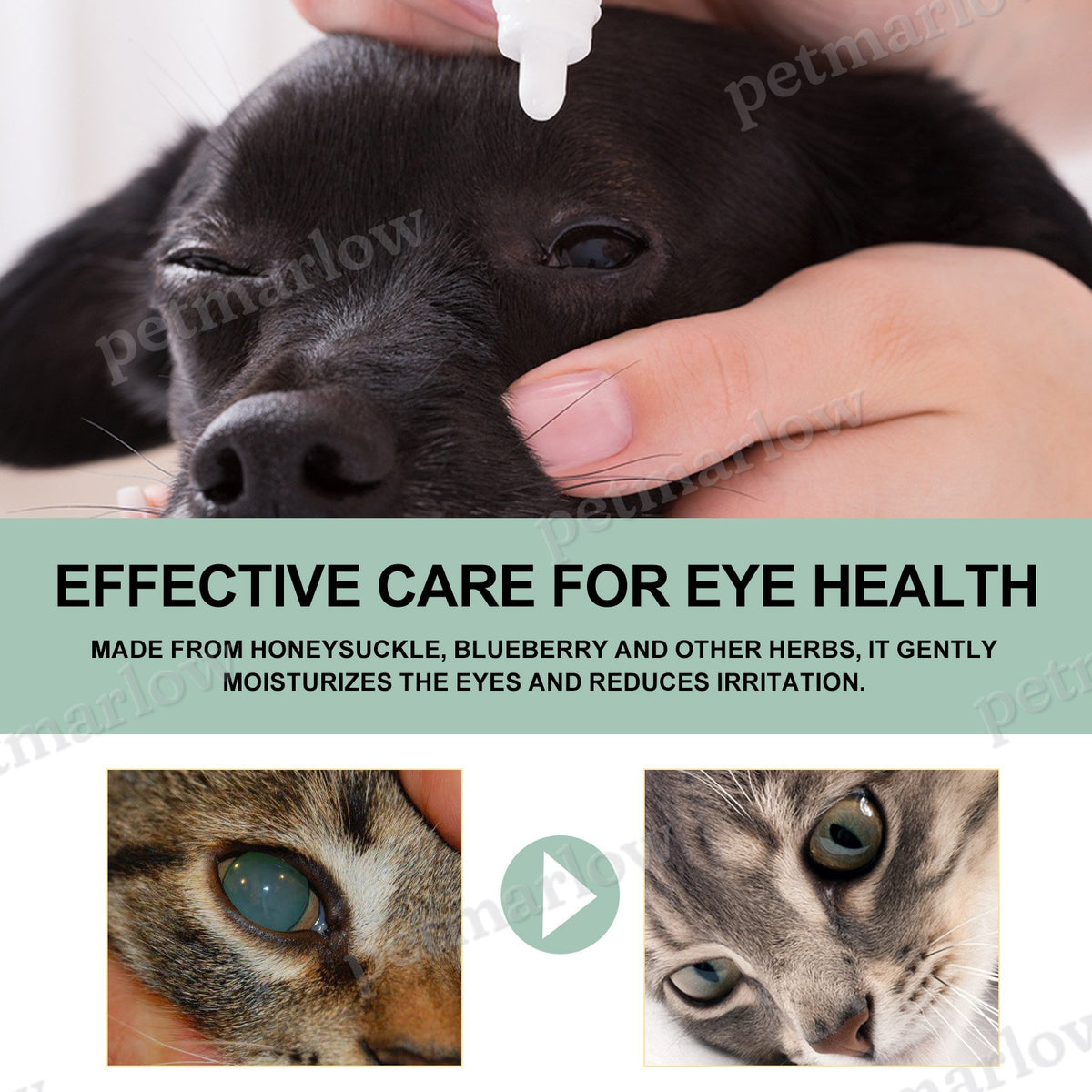 Pet Eye Drops for Dogs & Cats, Gentle Eye Cleaner – view 3
