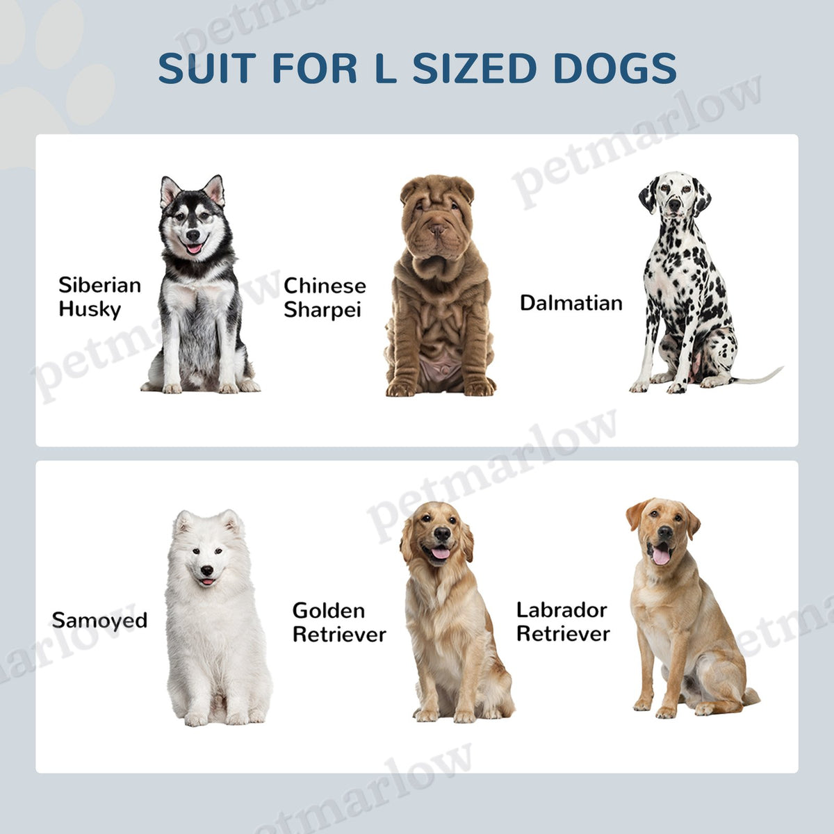Pet Feeding Station with Elevated Bowls and Storage – view 3
