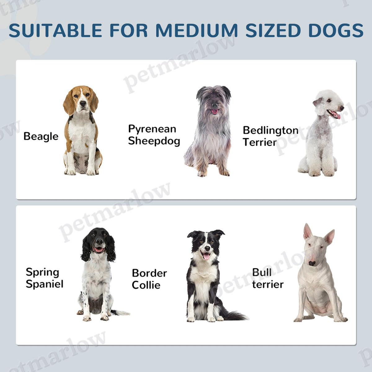 Pet Feeding Station with Storage and Adjustable Bowls – view 4