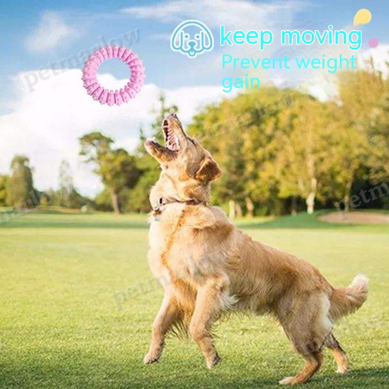 Pet Foam Ring Anti Bite Molar Toy – view 5