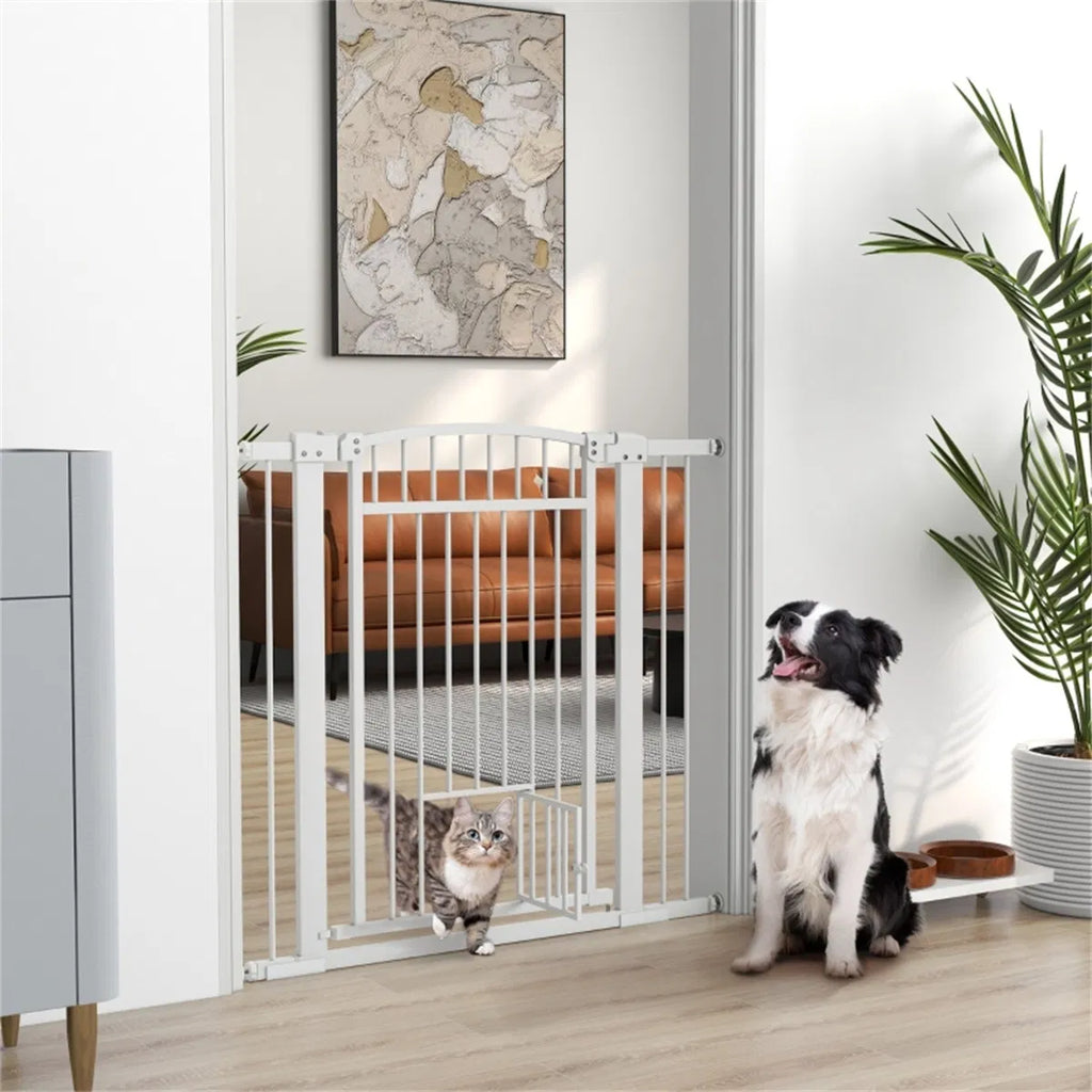 Pet Gate