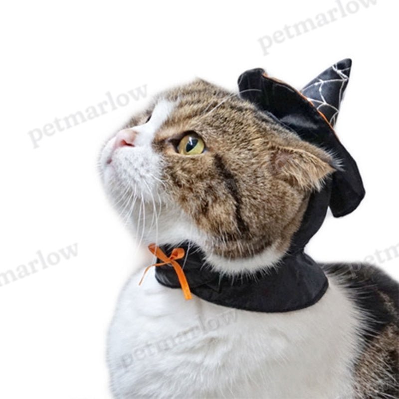 Pet Halloween Dress up Hat Cosplay Witch Hat – view 2