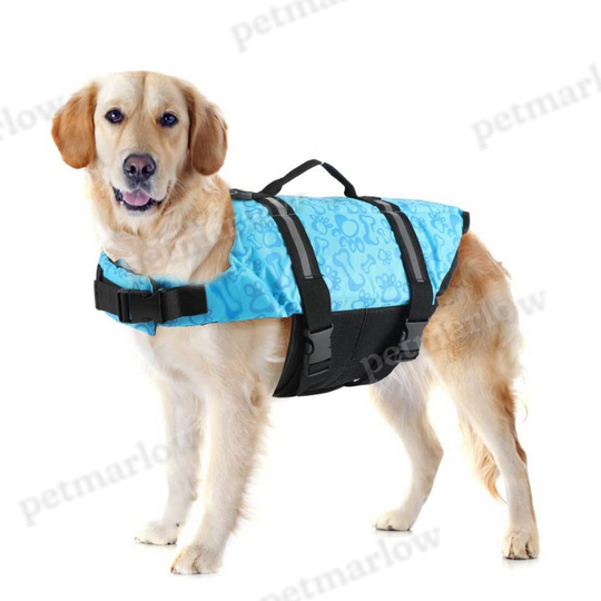 Pet Harness for Dogs and Cats - Vibrant Colors – view 4