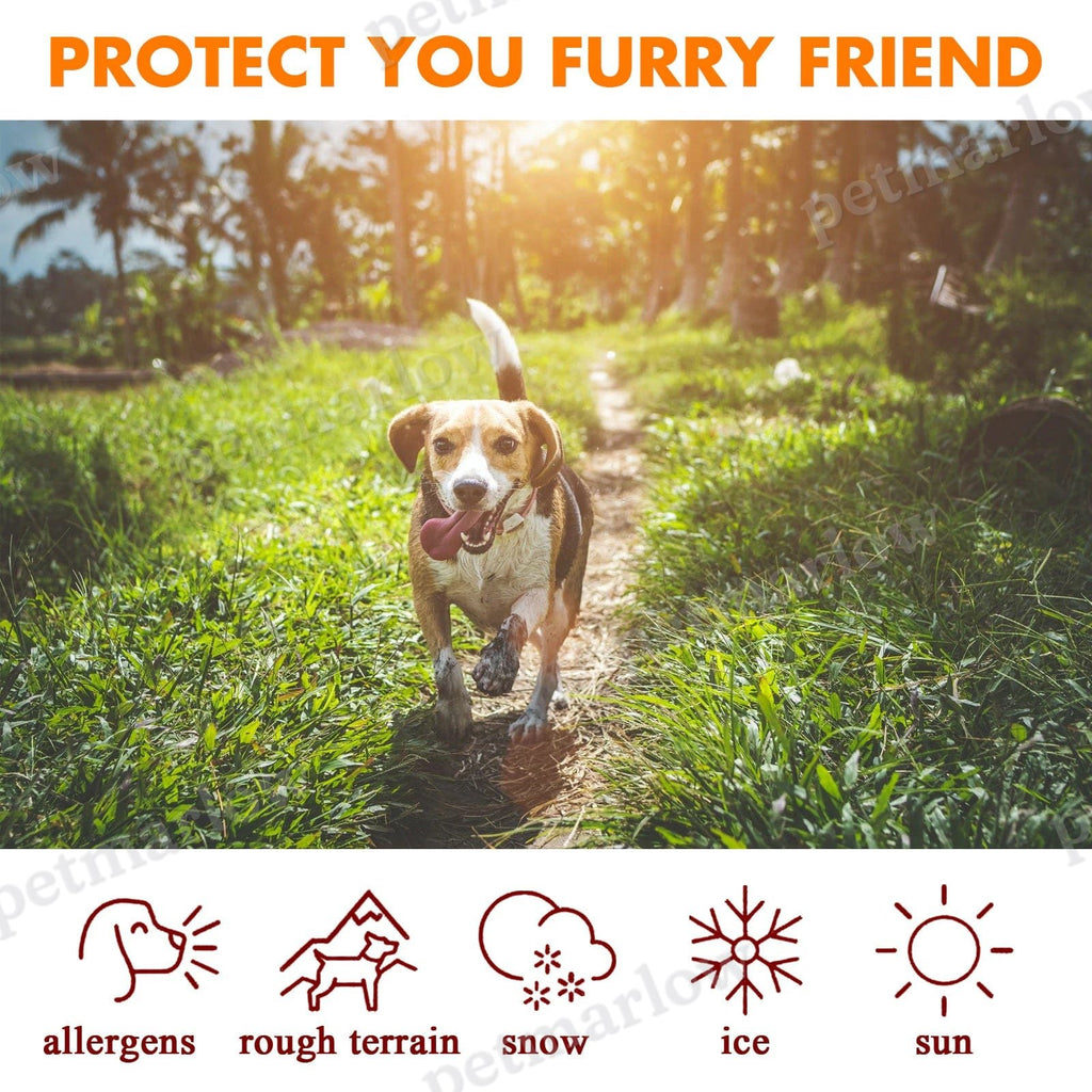 Pet Paw Balm - Safe And Edible – view 2