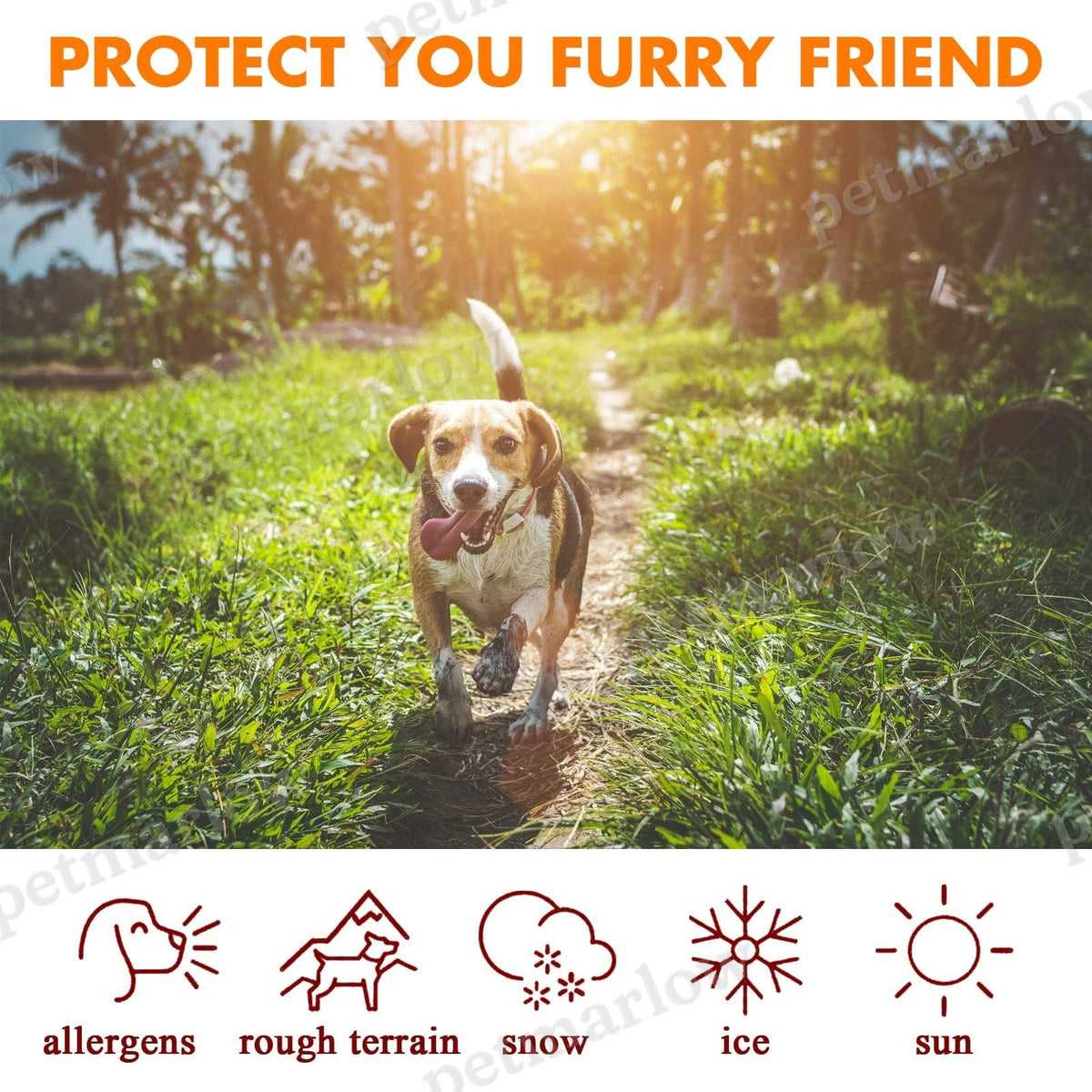 Pet Paw Balm - Safe And Edible – view 2