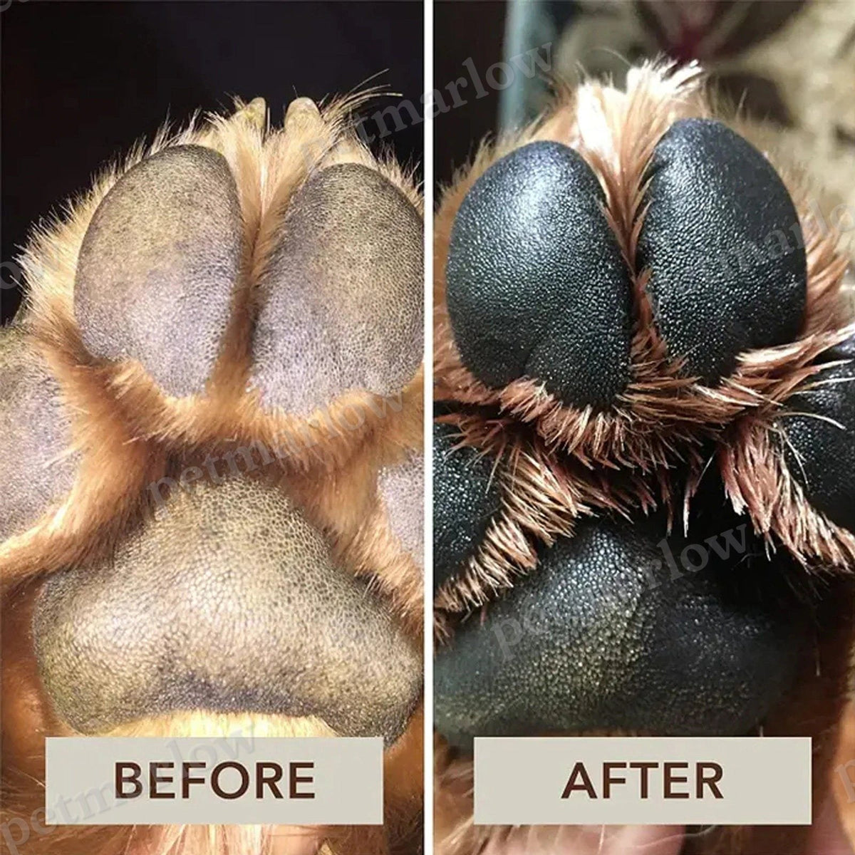Pet Paw Balm - Safe And Edible – view 4