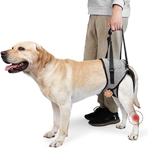 Pet Rear Support Aid Veterinarian Approved Sling for Old Help with Poor Stability