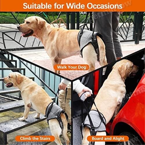 Pet Rear Support Aid Veterinarian Approved Sling for Old Help with Poor Stability – view 2