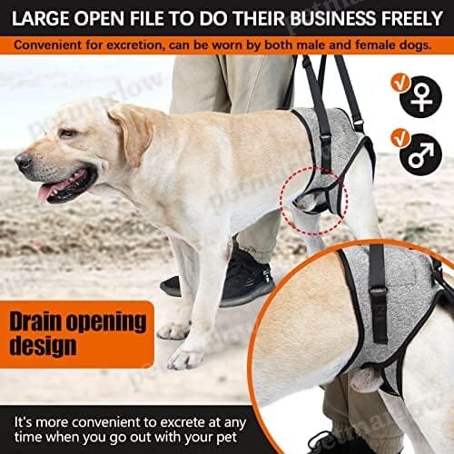 Pet Rear Support Aid Veterinarian Approved Sling for Old Help with Poor Stability – view 3