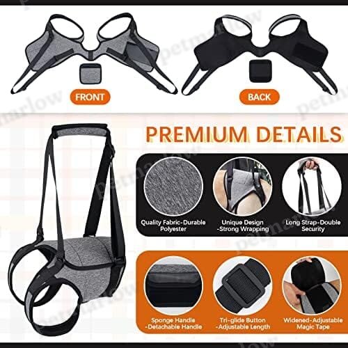 Pet Rear Support Aid Veterinarian Approved Sling for Old Help with Poor Stability – view 4