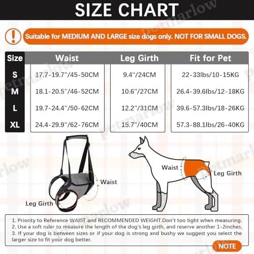 Pet Rear Support Aid Veterinarian Approved Sling for Old Help with Poor Stability – view 5