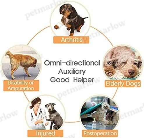 Pet Rear Support Aid Veterinarian Approved Sling for Old Help with Poor Stability – view 6