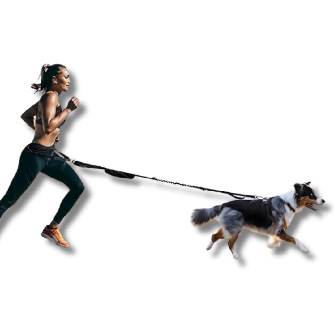 Pet Running Traction Leash
