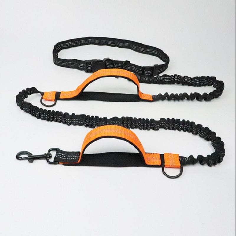 Pet Running Traction Leash – Orange