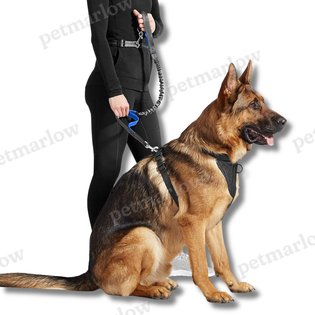 Pet Running Traction Leash – view 4