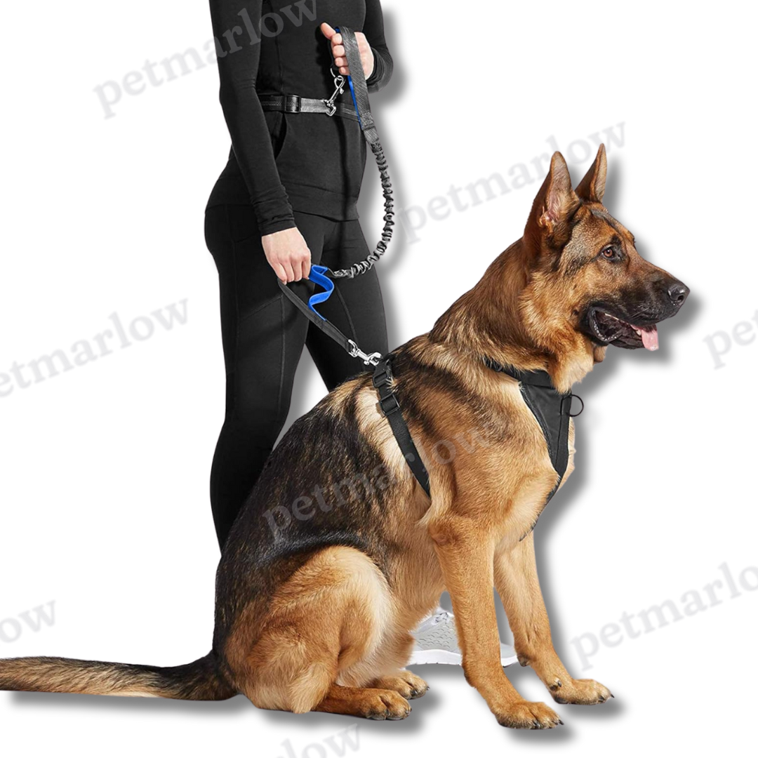 Pet Running Traction Leash – view 4