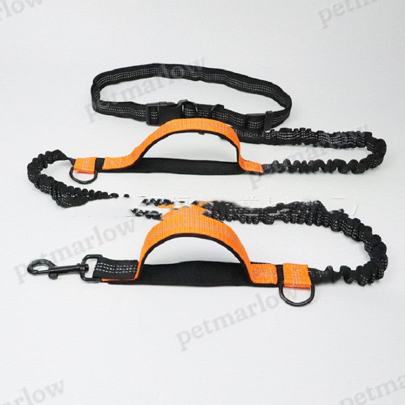 Pet Running Traction Leash – view 5