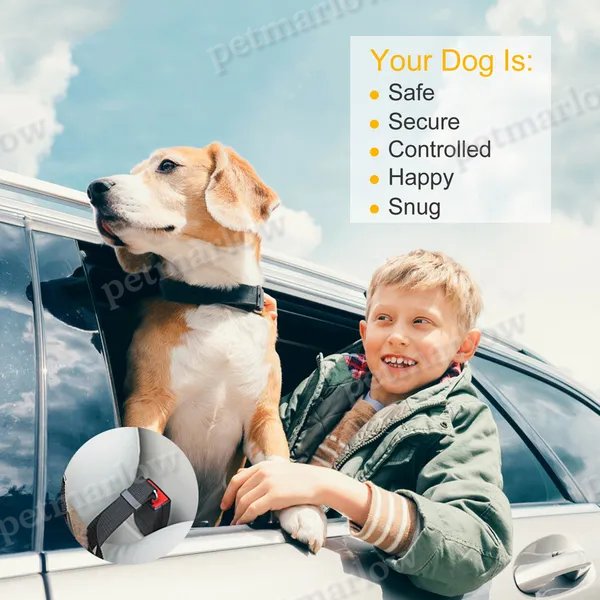 Pet Safety Seat Belt Leash for Dogs and Cats - 2 Pack