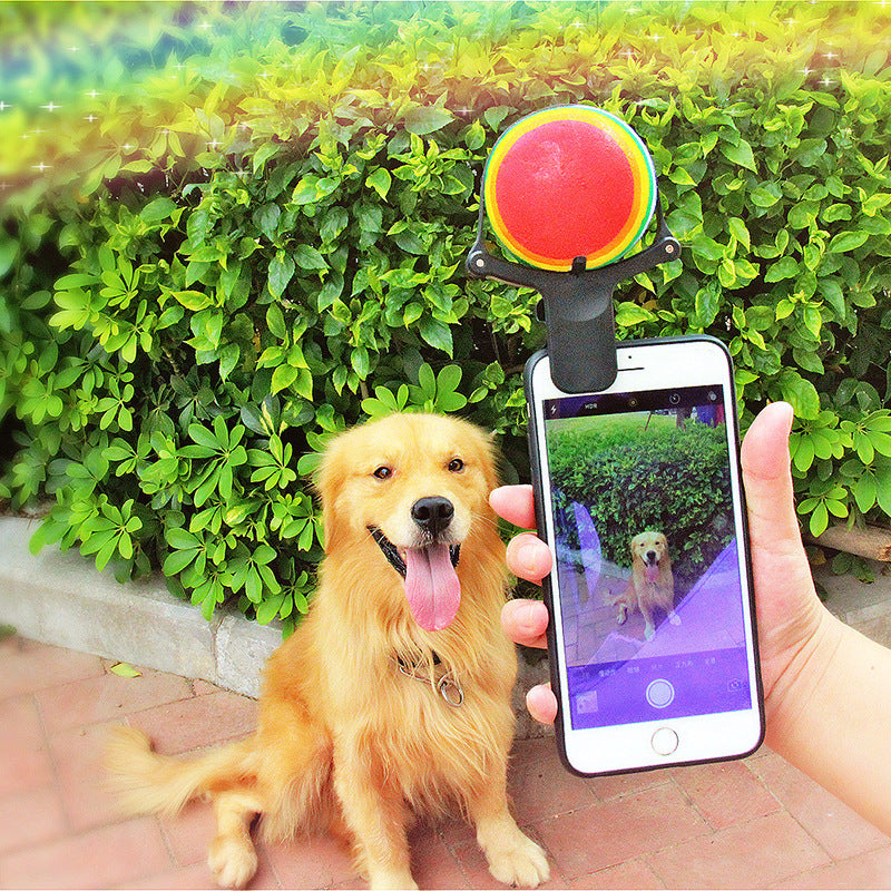 Pet Selfie Artifact for Fun Pet Photos