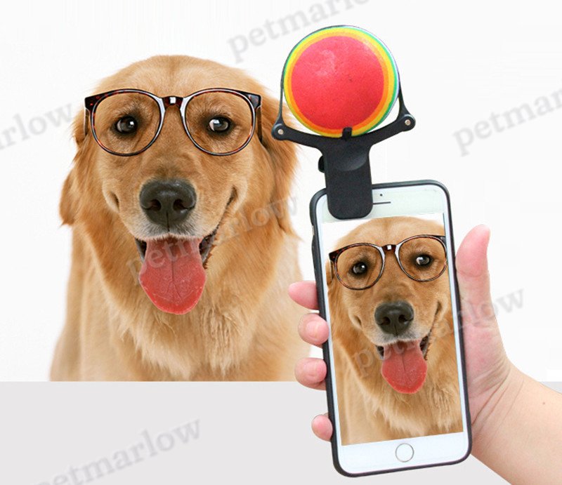 Pet Selfie Artifact for Fun Pet Photos – view 3