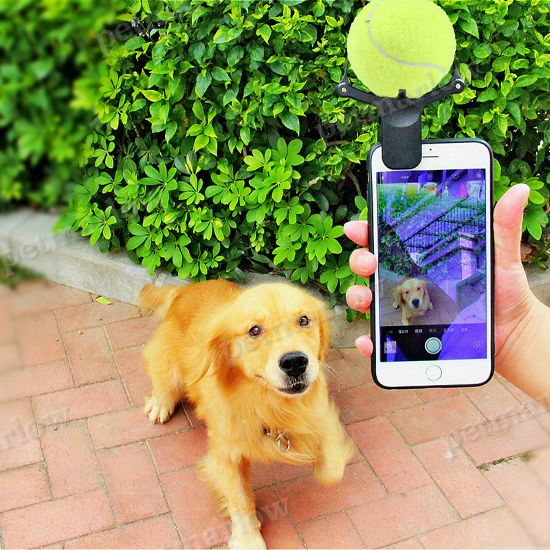 Pet Selfie Artifact for Fun Pet Photos – view 5