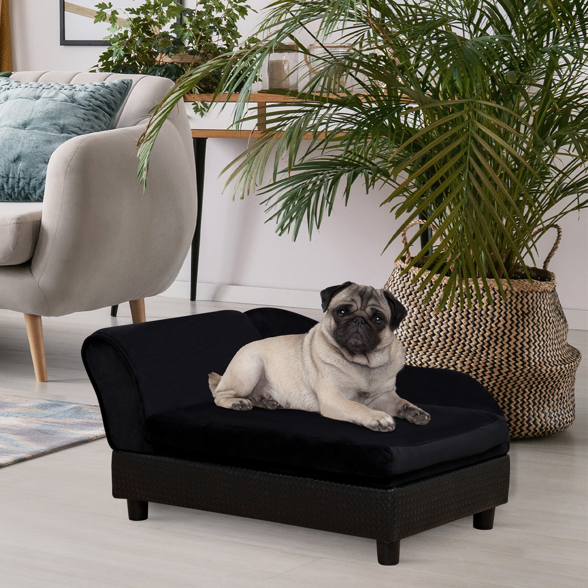 Pet Sofa Bed Couch with Storage for Cats and Small Dogs