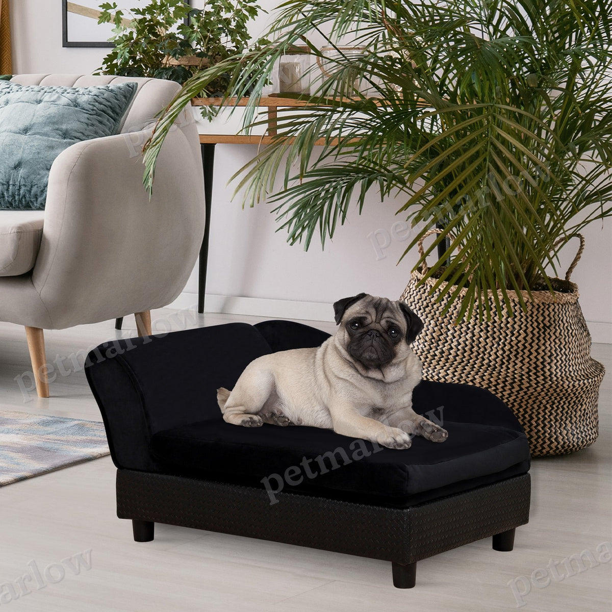 Pet Sofa Bed Couch with Storage for Cats and Small Dogs – view 3