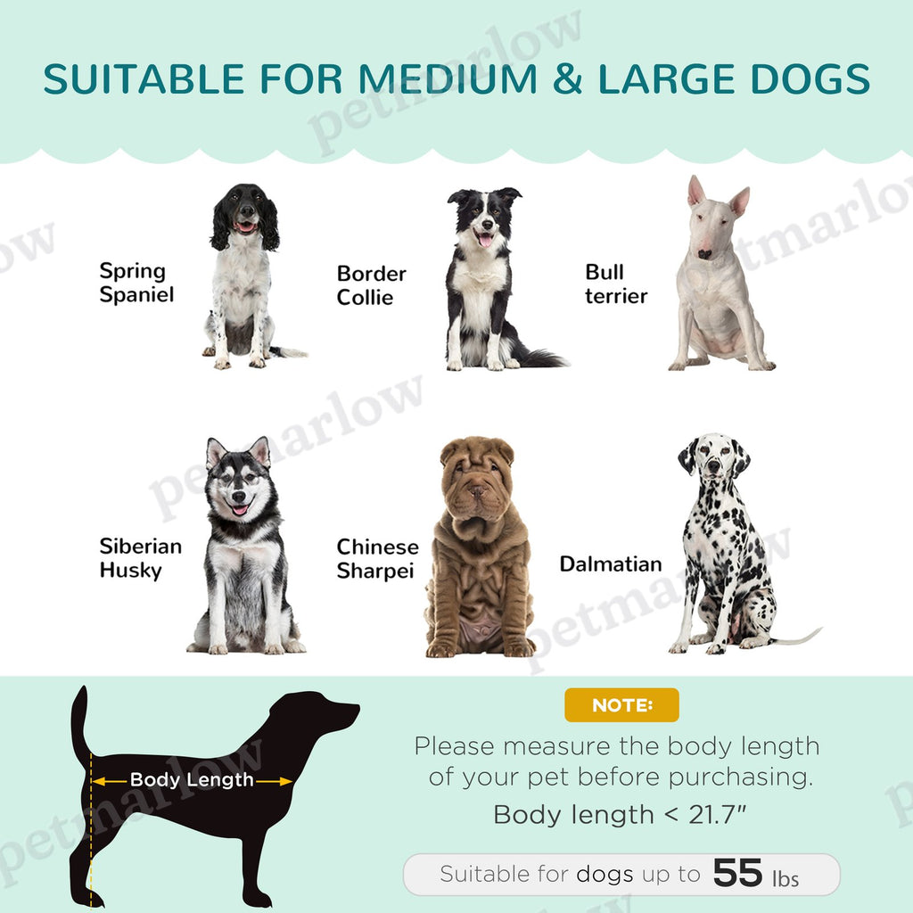 Pet Sofa Bed for Medium and Large Dogs with Cushion – view 3