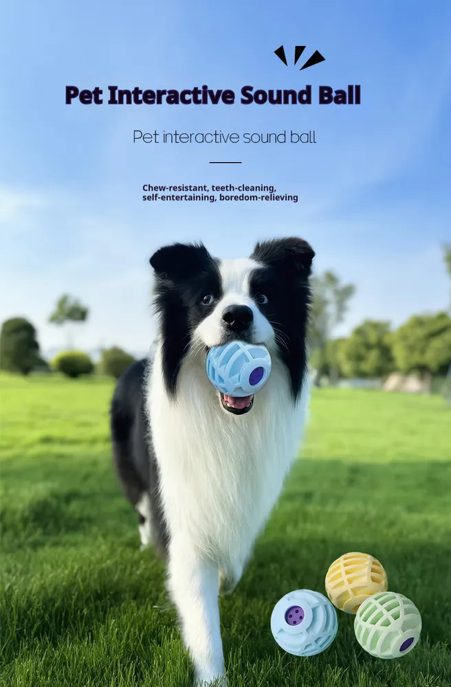 Pet Squeaky Interactive Sound Ball – Blue