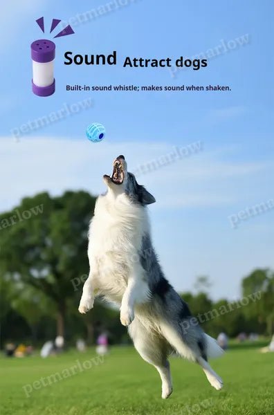 Pet Squeaky Interactive Sound Ball – view 6
