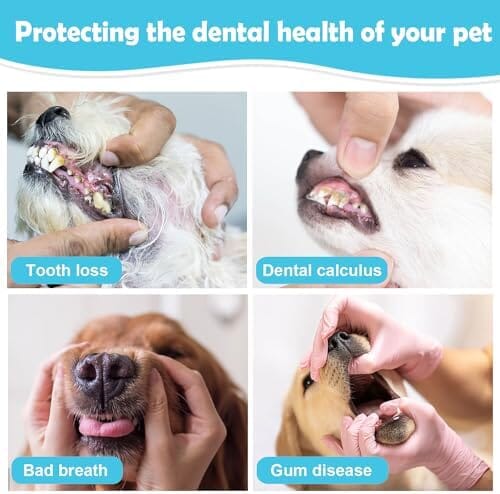 Pet Toothbrush 4 Pack Dog Toothbrush Kit – view 7