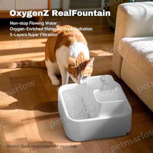 Pet Water Dispenser 3-Tired Standalone Water Bowl Indoor with Dual Pumps Quiet, Filter and Sponge – view 4