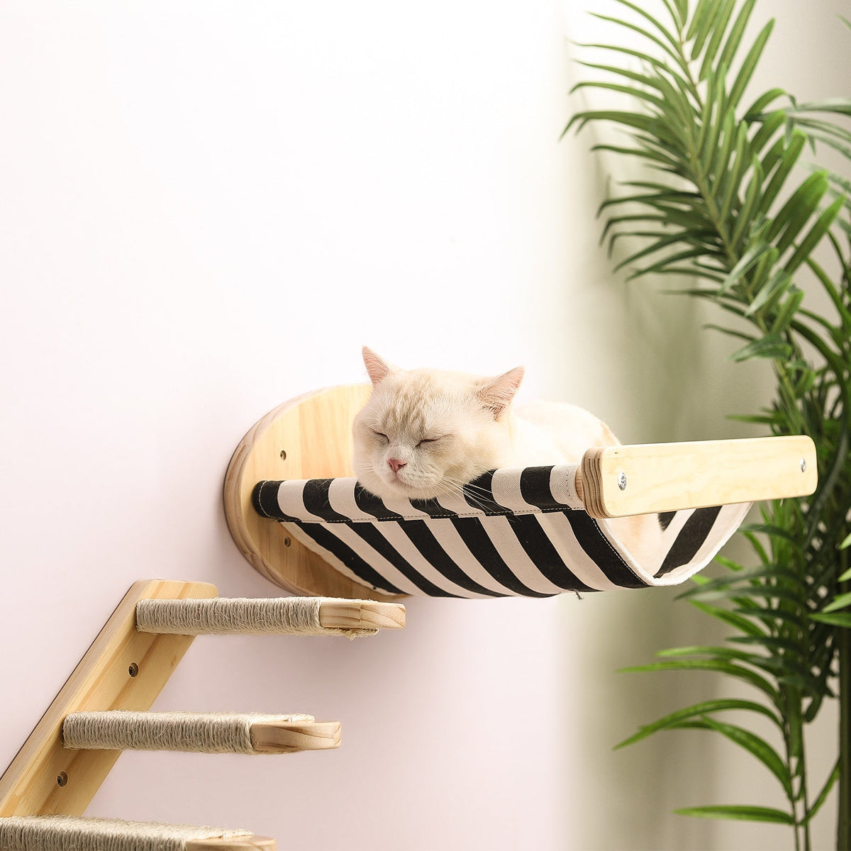 Pine Wood Wall-Mounted Cat Climbing Set