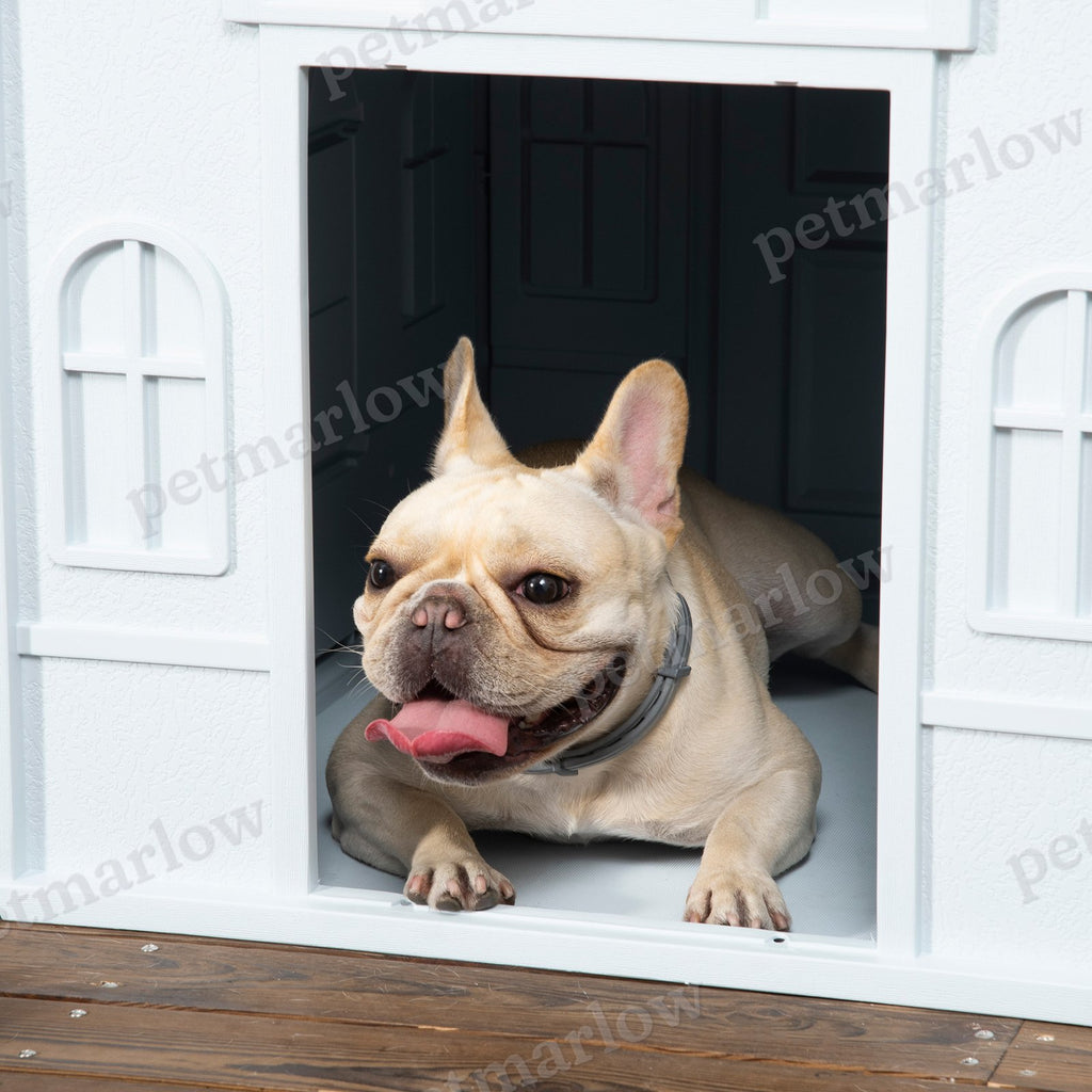 Plastic Dog House for Medium and Small Dogs – view 5