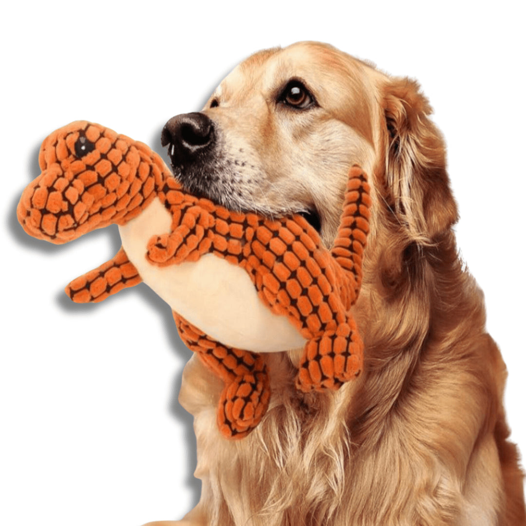 Squeaky Dinosaur Dog Toy