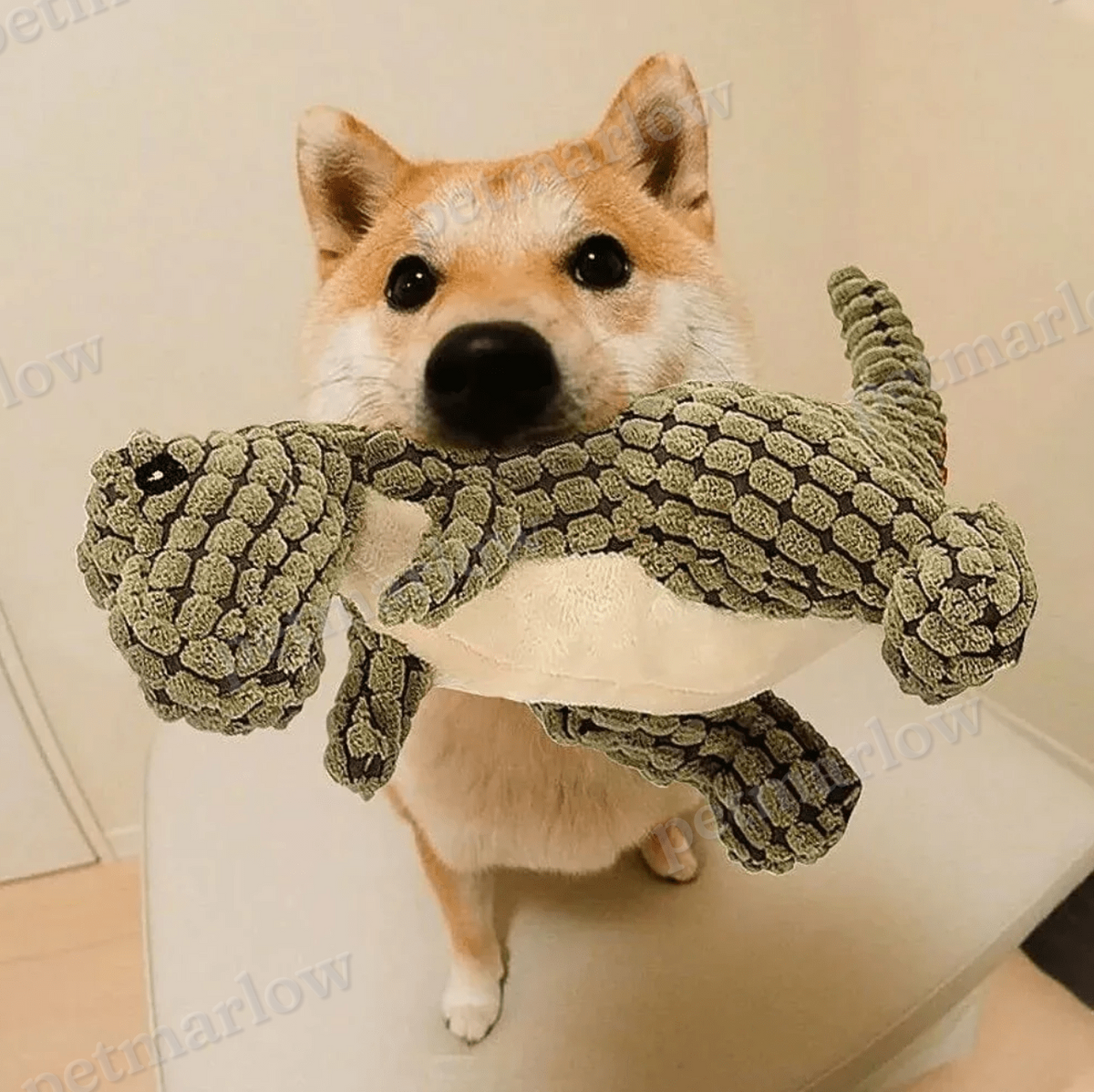 Squeaky Dinosaur Dog Toy – view 5