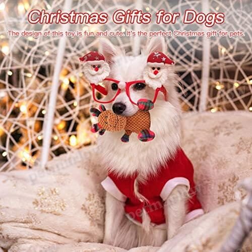 Plush Dog Toys for Cleaning Teeth – view 5