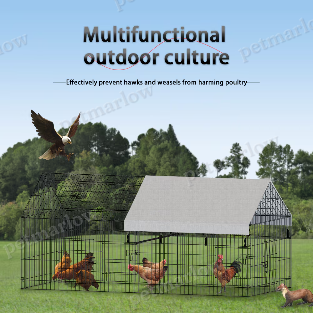 Pointed Wire Chicken Coop for Poultry Breeding – view 6