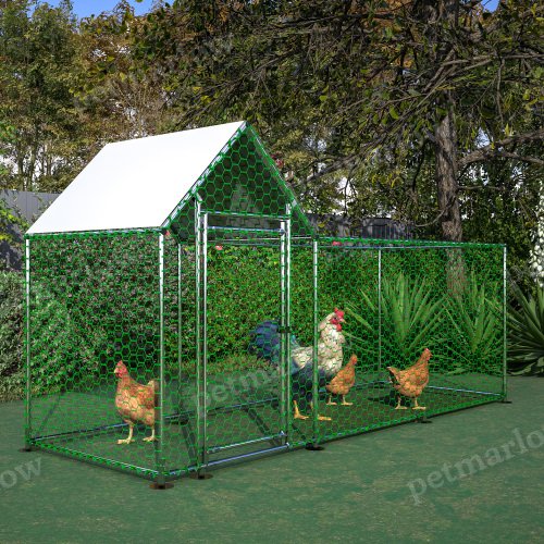 Poultry Habitat Cage with Lid for Chicken Coop – view 4