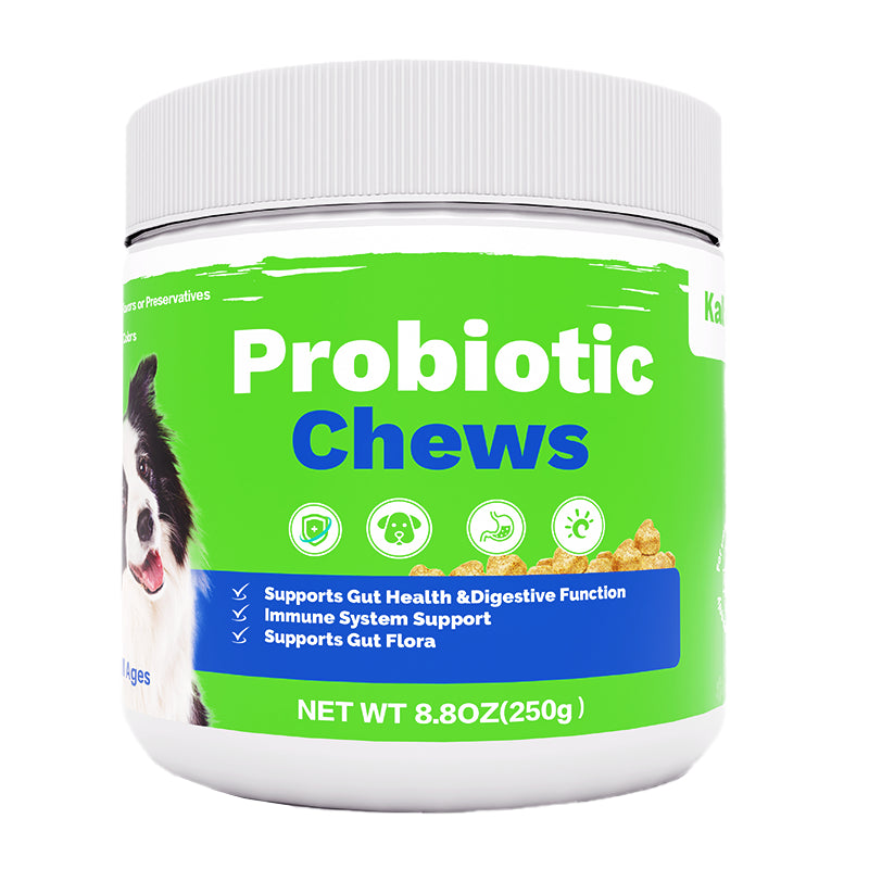Probiotic Chews for Dogs and Cats - Digestive Support