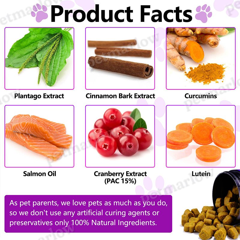 Probiotic Chews for Dogs and Cats - Digestive Support – view 2