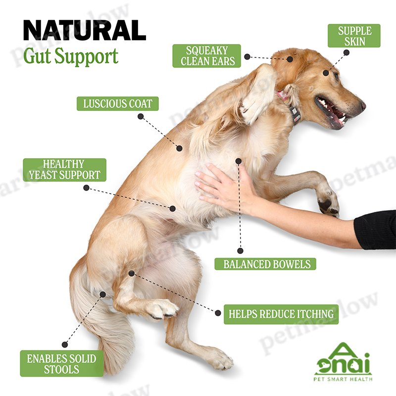 Probiotic Chews for Dogs and Cats - Digestive Support – view 3
