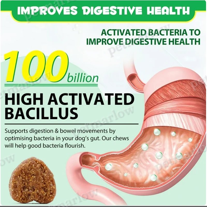Probiotic Chews for Dogs and Cats - Digestive Support – view 5