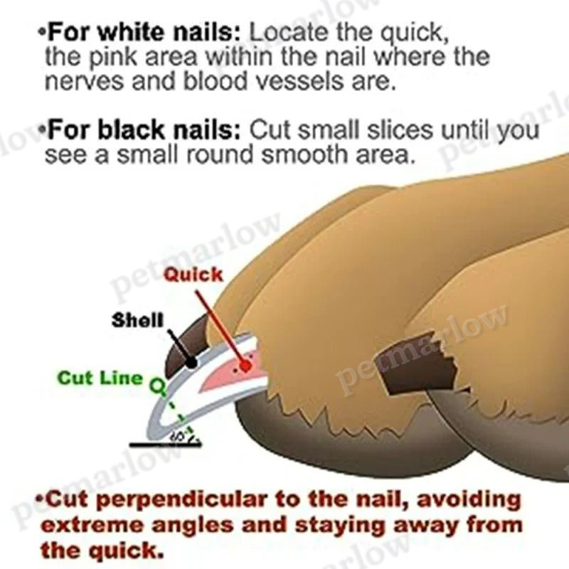 Professional Pet Nail Trimmer With Led LED Cat Nail Clippers Dog Claw Trimmers Tool – view 4